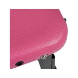 Kannettava hierontapöytä, ainutlaatuinen Estetic Rosa