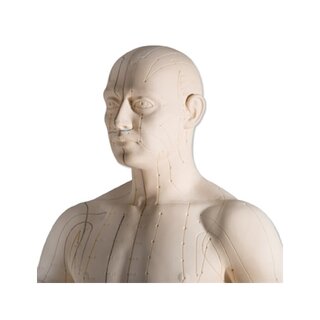 Akupunktiomalli 70 cm ammattikäyttöön