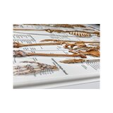 Luuranko 3D - Anatomia juliste