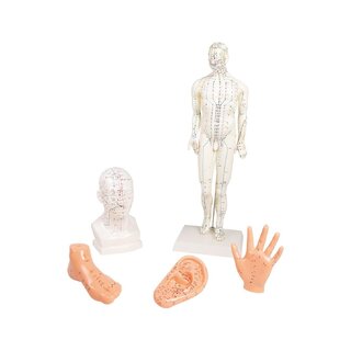 Kiinalainen akupunktiosarja, 5 mallia