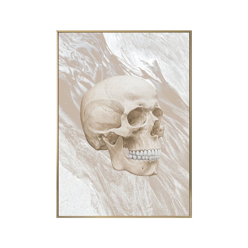 Anatomisen taiteen juliste ART6