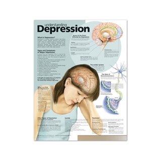 Ymmärtäminen Masennus Englanti Laminated (Understanding Depression)