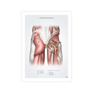 Pakaralihasten tuki 50x70mm