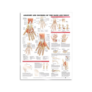 Juliste - anatomia ja patologia Käsi ja ranne