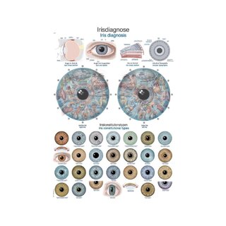 Diagrammi Iris diagnoosin anatomian juliste 50x70cm